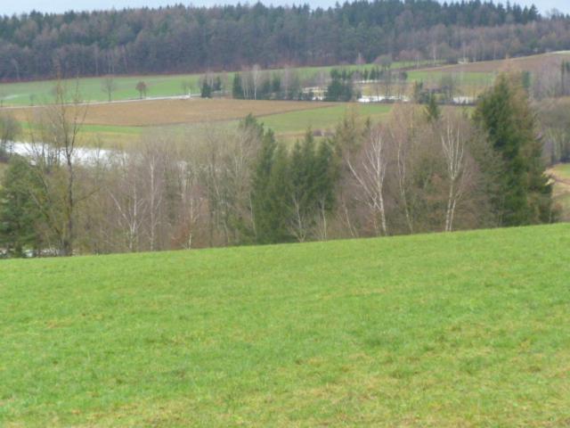 Blockhaus Mit Wlan Bayern Villa Stamsried Exterior foto